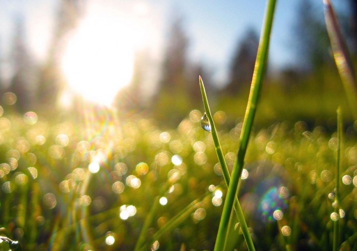 morning-live-wallpaper-445b47-h900