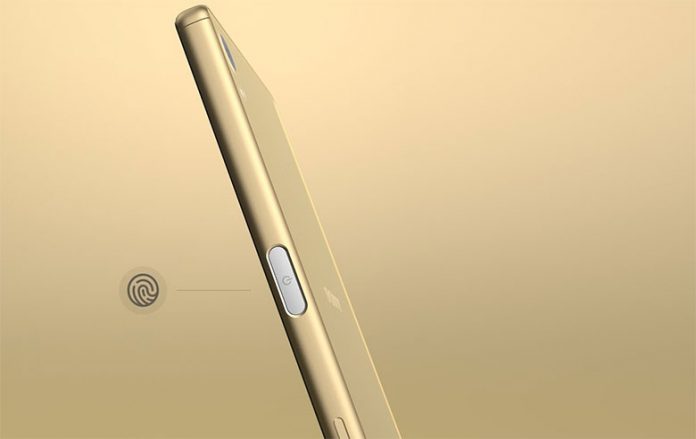 z5-fingerprint