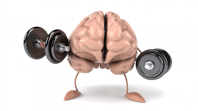 34brainbootcamp