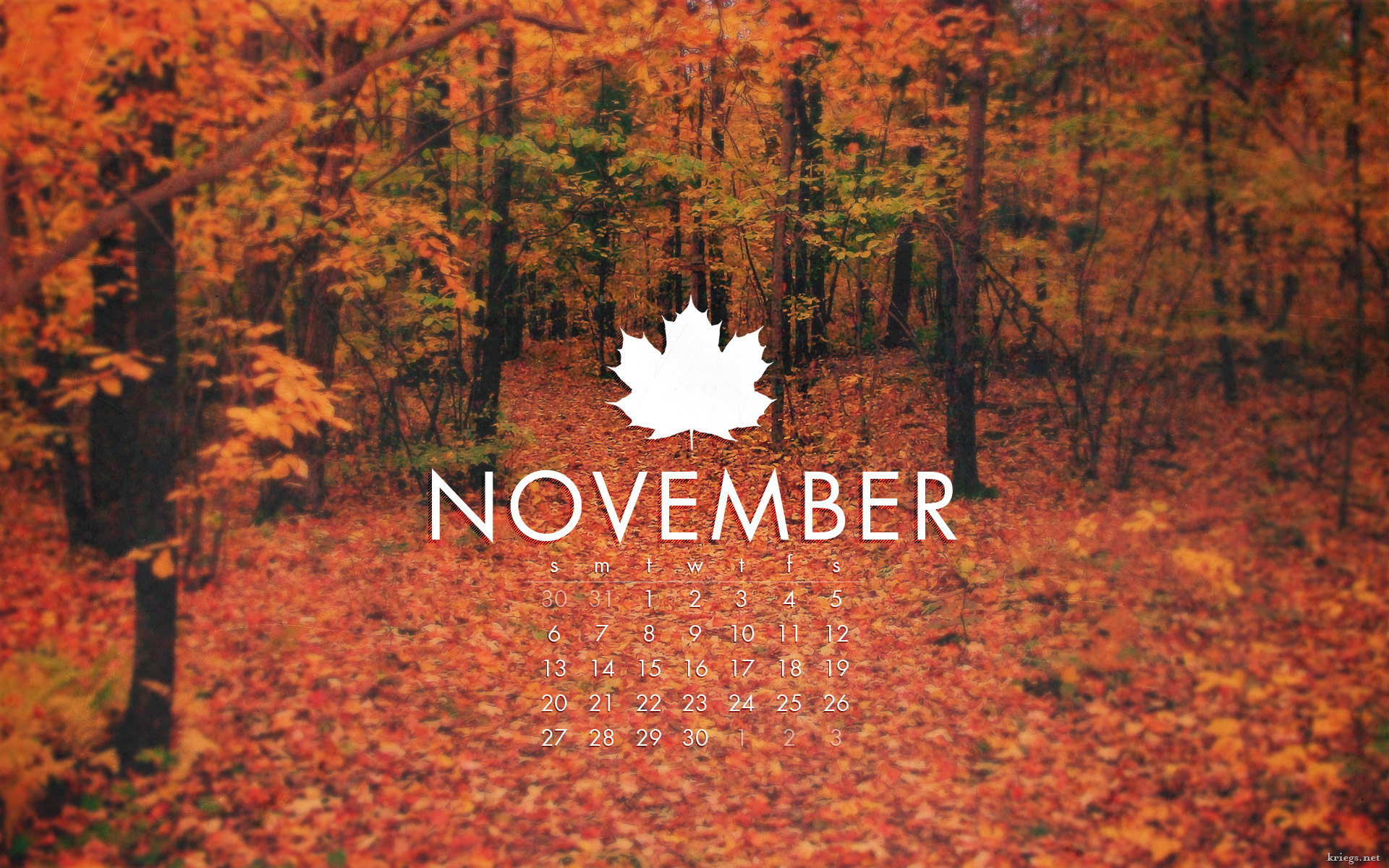 November Facts 7 Interesting Cool Funny Facts