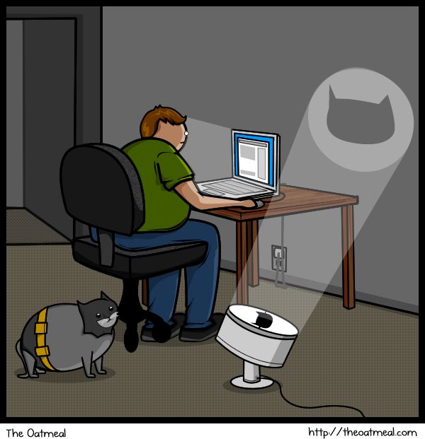 566batman-cat-super-cat