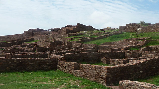 13-Masuriya-Hill-Garden