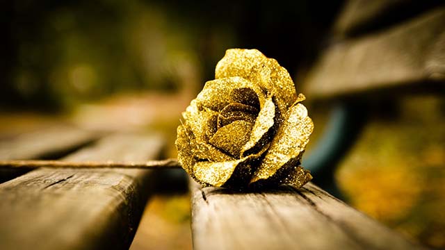 7-Gold-Roses-from-My-Flower-Tree