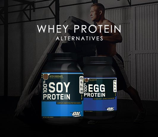 WheyProtein-alternatives Whey Protein Alternatives: 5 Best Substitutes For Whey Protein