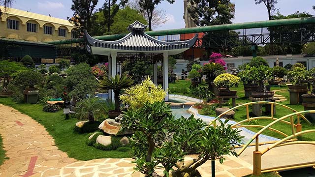 7-Bonsai-Garden