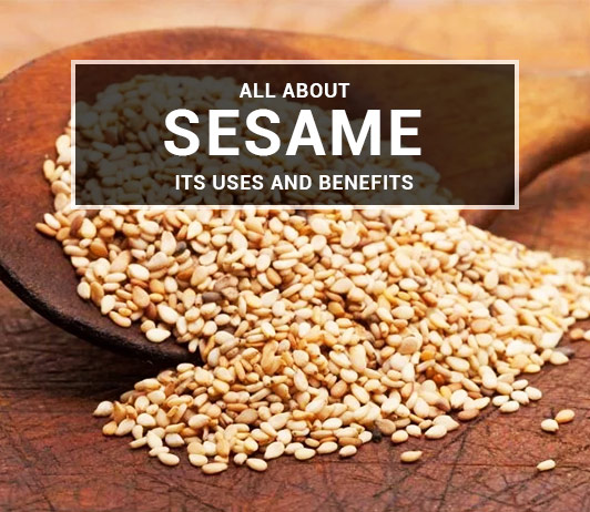 Sesame_blog