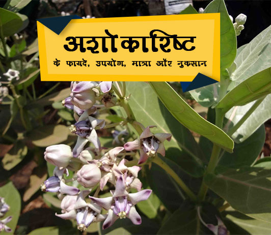 ashokarishta ashokarishta benefits in hindi अशोकारिष्ट के फायदे, उपयोग, मात्रा और नुकसान