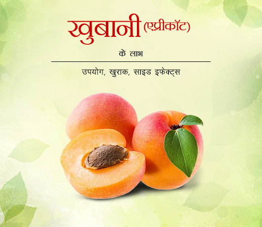 9 Apricot Benefits Side Effects in Hindi खुबानी के लाभ: उपयोग, खुराक, नुक्सान और सावधानियां
