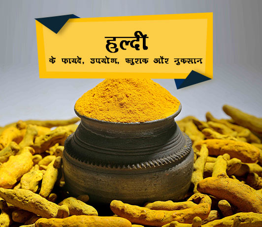 Haldi हल्दी के फायदे, उपयोग, खुराक और नुकसान