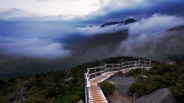 Kasauli - Pleasant Hill Station in Himachal Pradesh