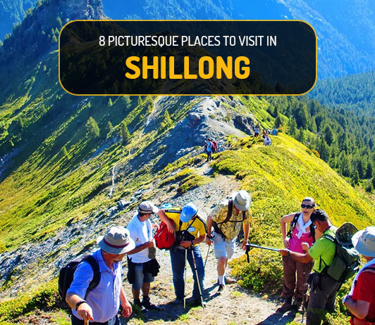 shillong fift