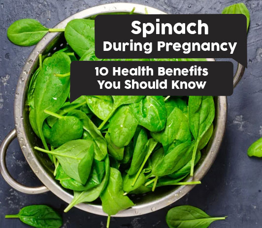 Spinach during Pregnancy: 10 Health Benefits You Should Know Spinach during Pregnancy: 10 Health Benefits You Should Know