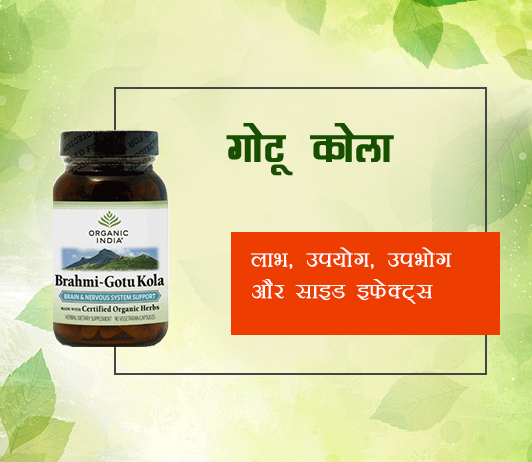 Gotu Kola ke fayde aur nuksan in Hindi Gotu Kola ke fayde aur nuksan in Hindi