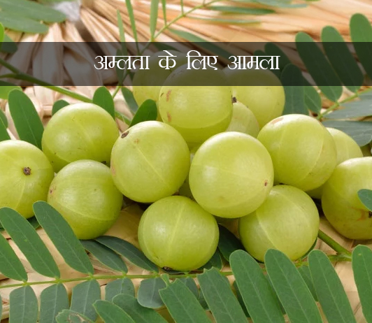 Amla for Acidity in hindi Amla for Acidity in hindi