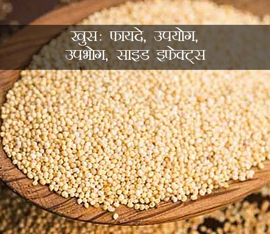 khus ke fayde aur nuksan in hindi khus ke fayde aur nuksan in hindi