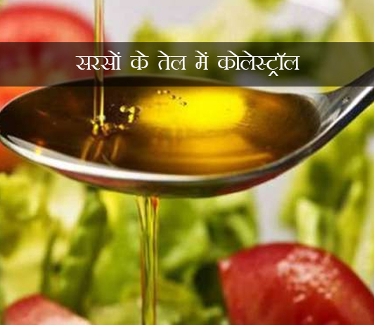 Cholesterol in Mustard Oil ke fayde aur nuksan in hindi Cholesterol in Mustard Oil ke fayde aur nuksan in hindi