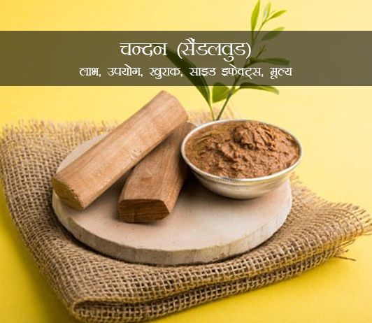 Sandalwood In Hindi चन दन स डलव ड ल भ उपय ग ख र क स इड इफ क ट स म ल य