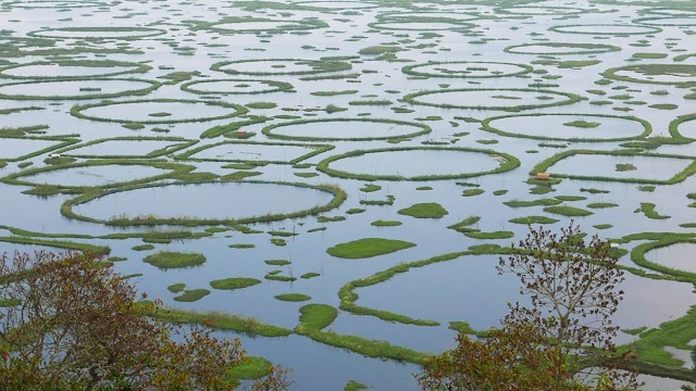 Loktak Lake, Manipur