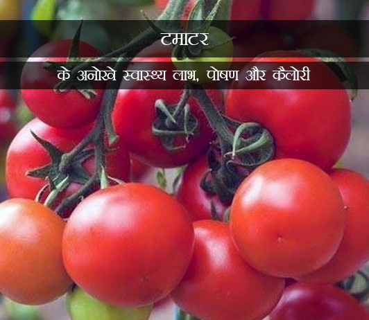 2 Unique Health Benefits of Tomato in Hindi टमाटर के अनोखे स्वास्थ्य लाभ, पोषण और कैलोरी