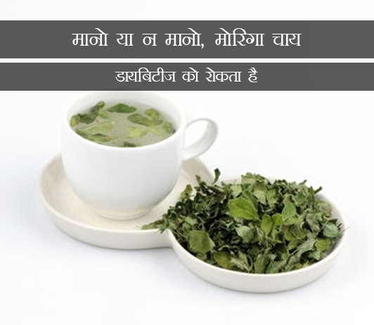 3 Moringa Tea Prevents Diabetes in Hindi मानो या न मानो, मोरिंगा चाय डायबिटीज को रोकता है