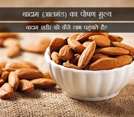 7 Almonds (Badam) Nutrition Value in Hindi बादाम (आलमंड) का पोषण मूल्य: बादाम शरीर को कैसे लाभ पहुंचाते हैं?