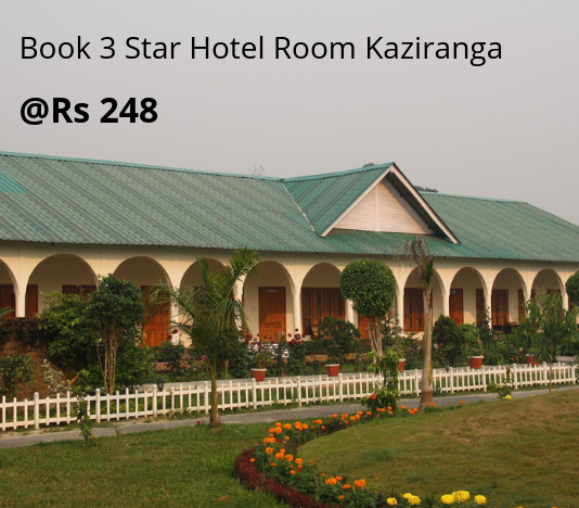 3 Star Hotel Room Kaziranga 3 Star Hotel Room Kaziranga