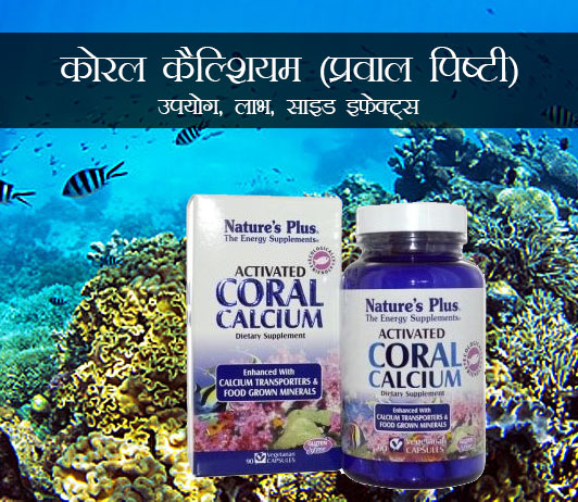 Coral Praval Pishti in Hindi कोरल कैल्शियम (प्रवाल पिष्टी): उपयोग, लाभ, साइड इफेक्ट्स