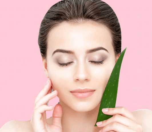 13 Best Aloe Vera Gel Brands For Hair and Skin – Available in India 13 Best Aloe Vera Gel Brands For Hair and Skin – Available in India