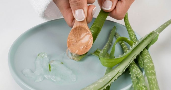 Best Aloe Vera Gels in India Best Aloe Vera Gels in India