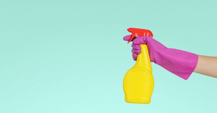 Best Carpet and Upholstery Cleaners in India Best carpet and upholstery cleaners in India