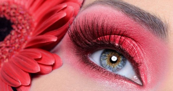 Best Eye Shadow