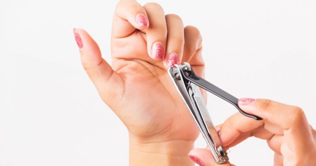 7 Best Nail Cutters in India in 2021 CashKaro Blog