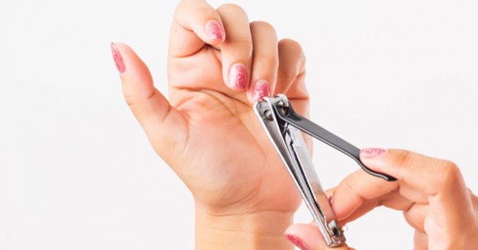 Best Nail Cutters Best Nail Cutters