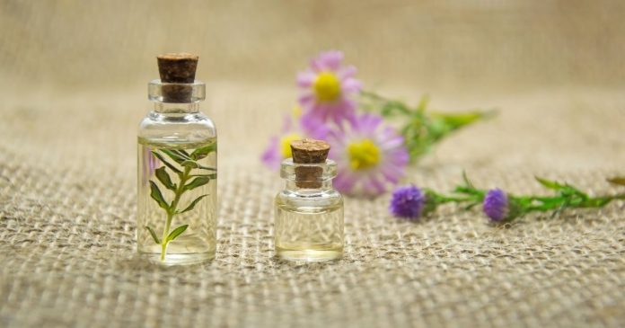 Best-Tea-Tree-Oils Best Tea Tree Oils