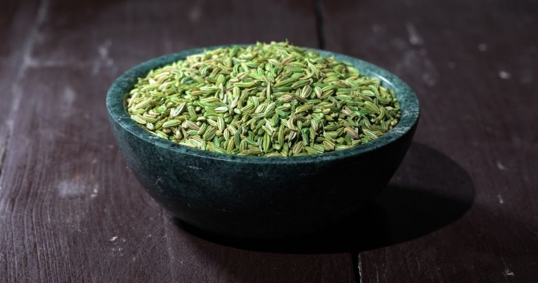 Best Mouth Fresheners to Fight Bad Breath CashKaro Blog