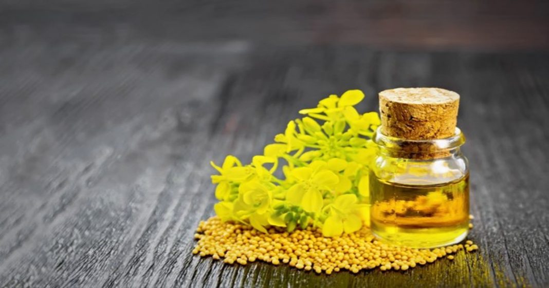 Best Mustard Oils of 2021 for Everyday Use CashKaro Blog