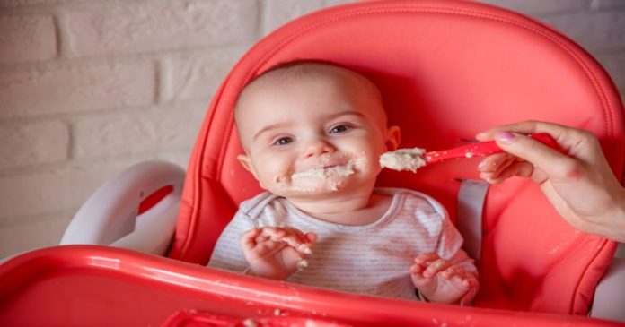 best baby foods Best baby foods