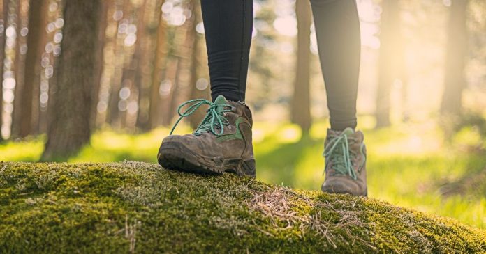 Best-Trekking-Shoe-Brands Best Trekking Shoe Brands