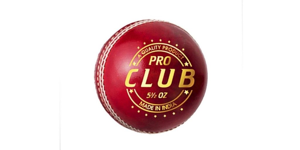 DSC Cricket Ball