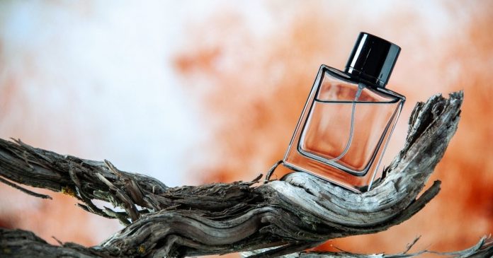 Popular Cologne Brands In India Popular Colognes