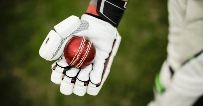 Best-Cricket-Gloves-Brands Best Cricket Gloves Brands