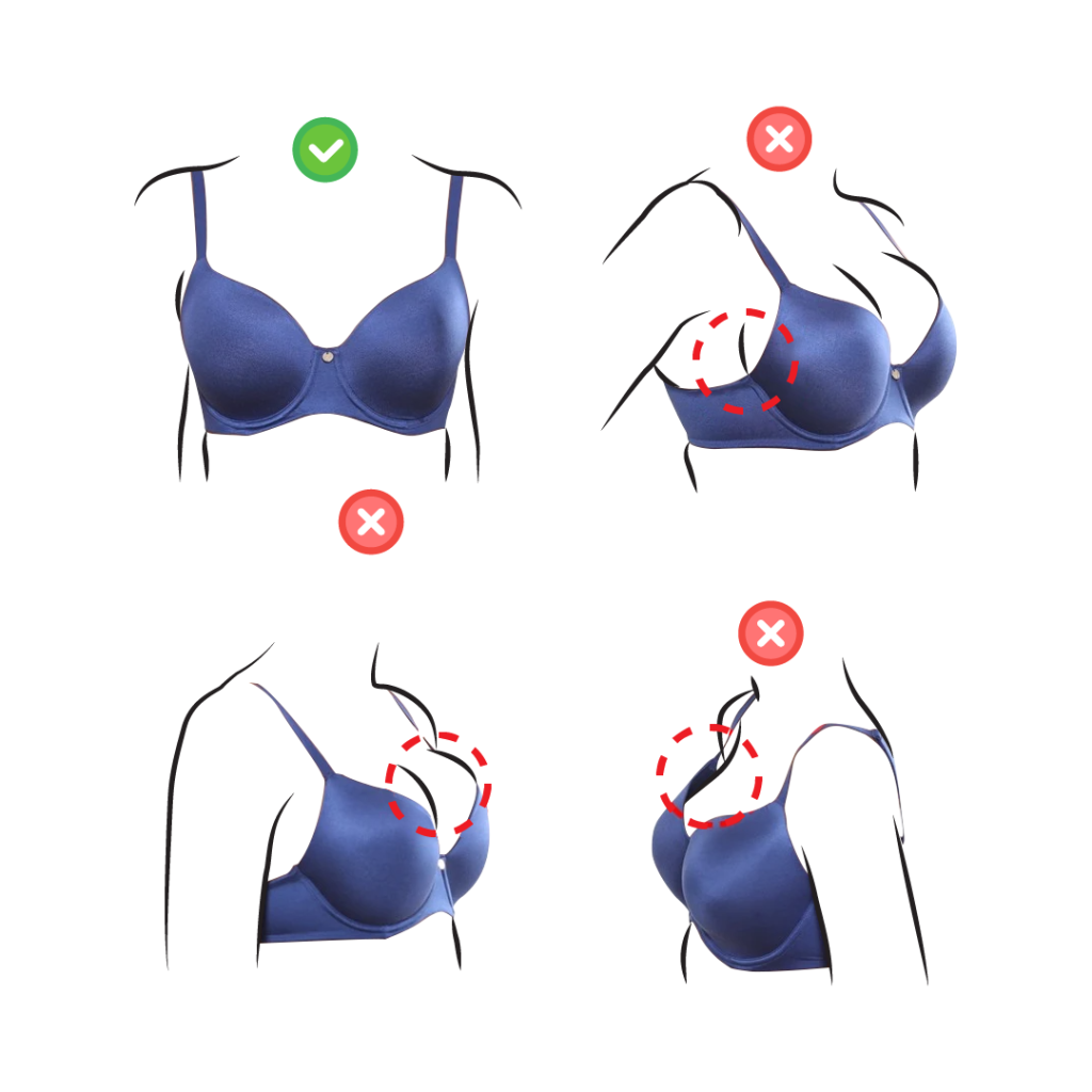 Bra Fit