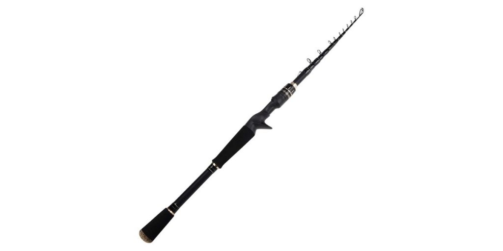 QiyuanLS Fishing Rod and Reel Combo, Carbon Fiber India