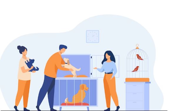 Pet Care Services Illustration