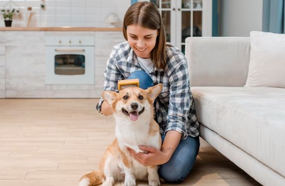 Women Grooming a Dog