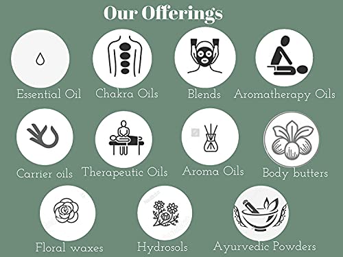 Deve Herbes Pure Malkangani, Jyotishmati Oil (Celastrus paniculatus) Natural Therapeutic Grade Cold Pressed For Skin