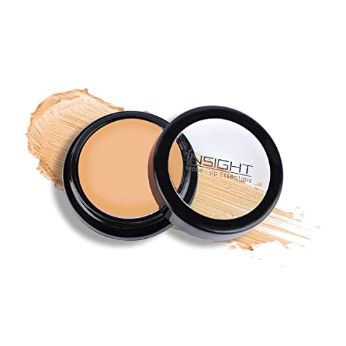 Insight Makeup Concealer