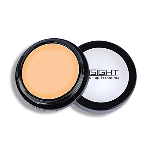Insight Makeup Concealer