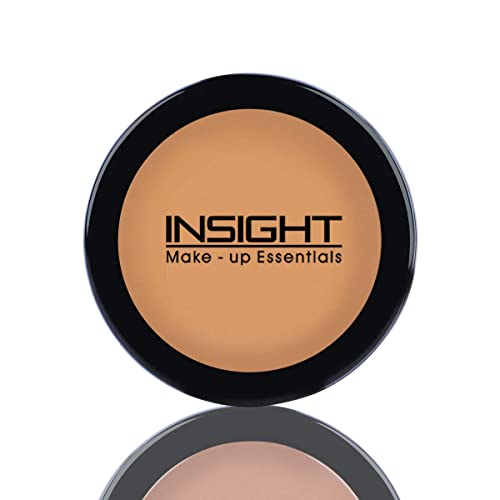 Insight Makeup Concealer