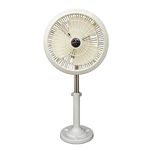 Digismart 22W 300mm Mini Pedestal Fan